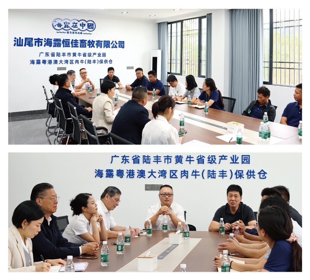 南宫电竞-不凡成就非凡,相信品牌的力量