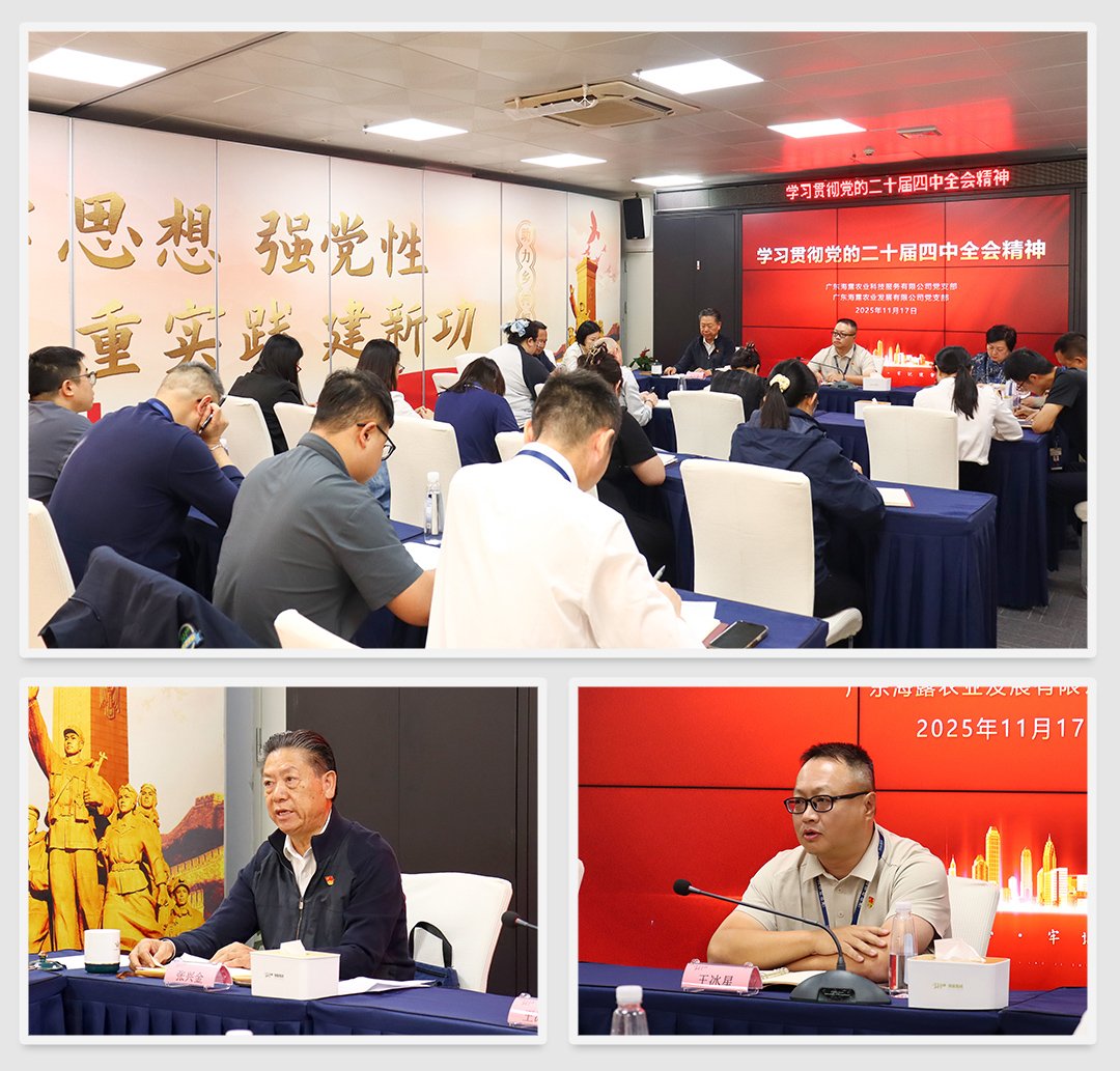南宫电竞-不凡成就非凡,相信品牌的力量