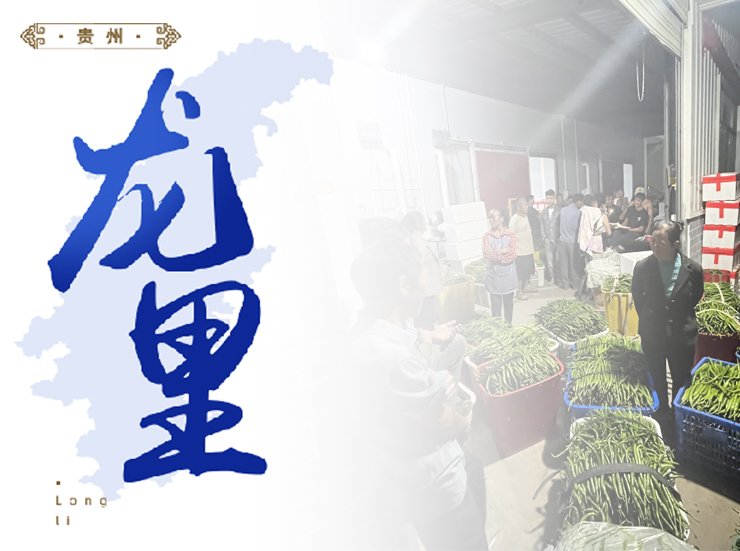 南宫电竞-不凡成就非凡,相信品牌的力量